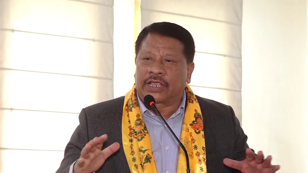 बहुमतको हुंकारले सरकार नचल्दा लोकतन्त्रलाई संस्थागत गर्न कांग्रेस बाध्य भयो : नेता सिंह