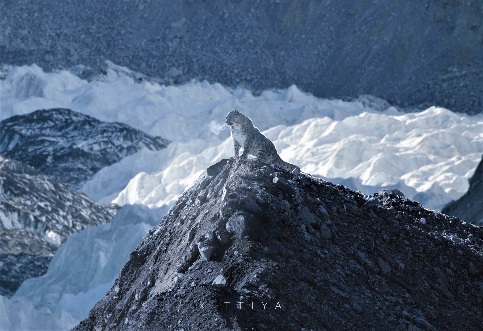 नेपालमा खिचिएको भनिएका हिम चितुवाका तस्वीर फोटोसप गरिएको स्वीकार