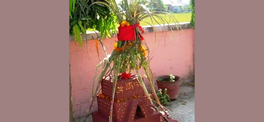 आज तुलसीको विवाह गर्ने दिन हरिबोधिनी एकादशी