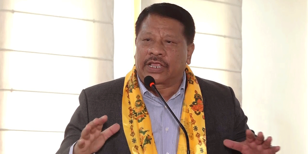निजामती विधेयक छिट्टै पारित हुन्छ : उपप्रधानमन्त्री सिंह