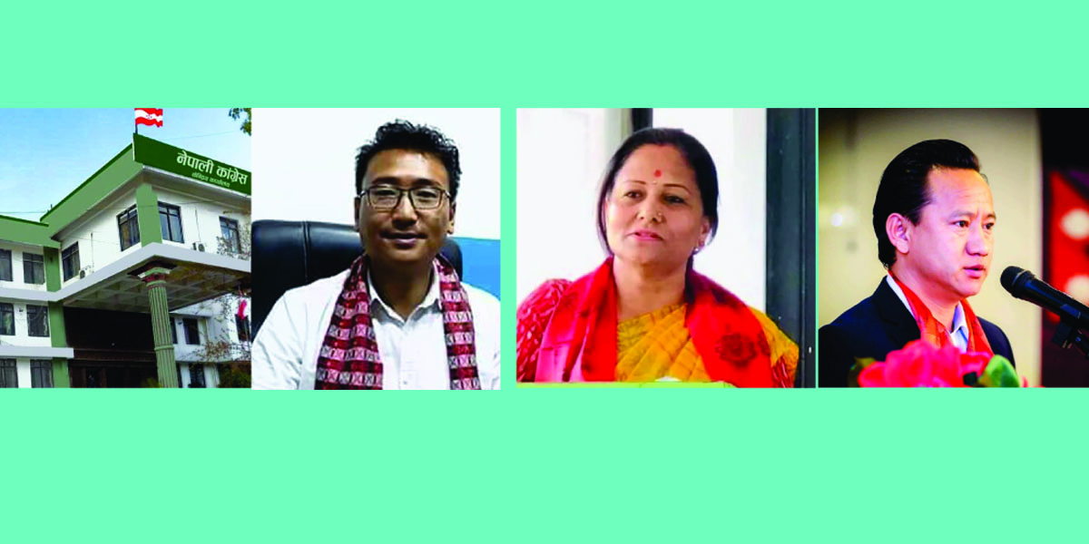 ‘असक्षम’हरुले बनाए संगठन धुलिसात