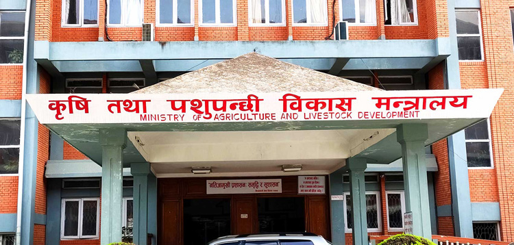उखु किसानलाई अनुदान रकम निकासा, बिहीबारसम्म किसानको खातामा रकम पुग्ने