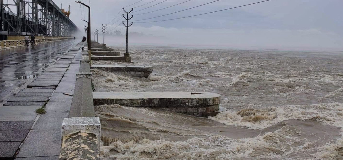 सप्तकोशीमा जलसतह बढ्दो,३८ वटा ढोका खोलियो