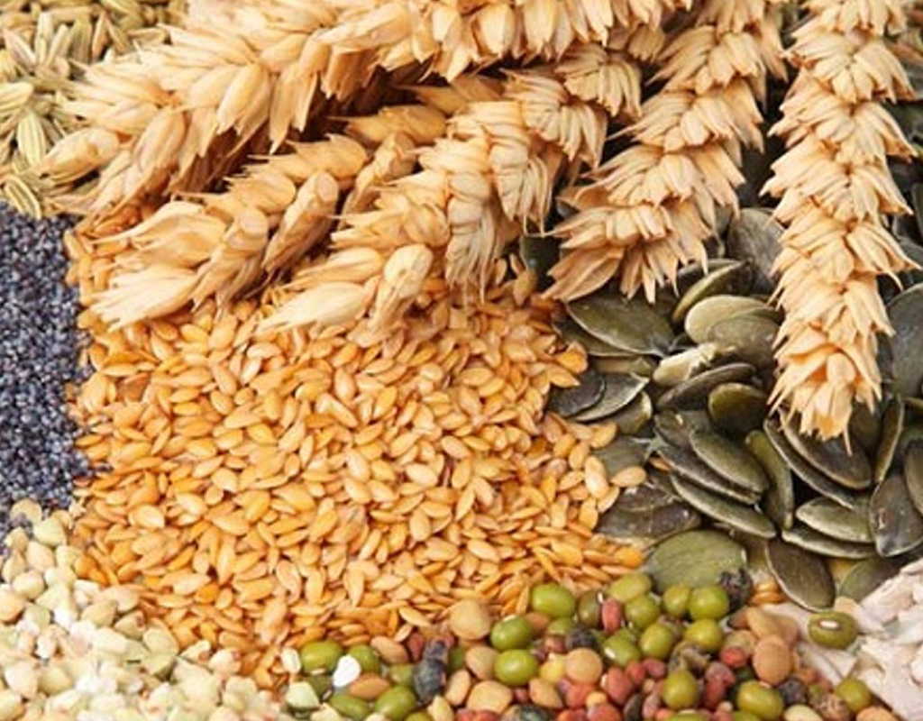आज ४५औं विश्व खाद्य दिवस मनाइँदै