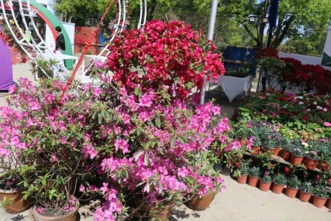 १ करोड ६० लाख कारोबारसंगै तेश्रो हर्टीकल्चर  एक्स्पो सम्पन्न ।