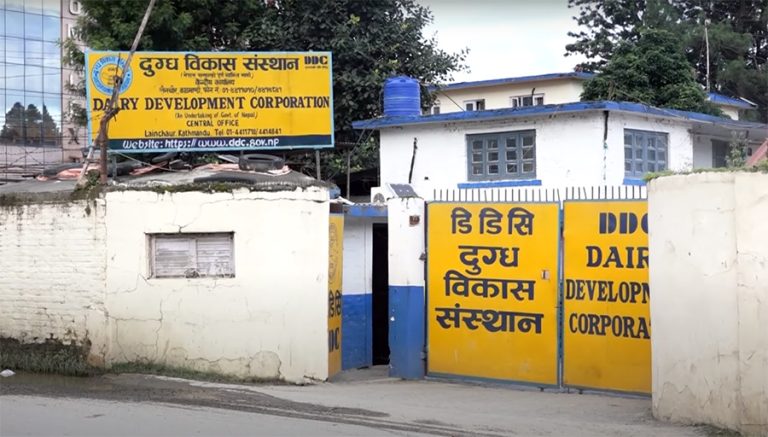 दुध किसानलाई १२ करोड भुक्तानी