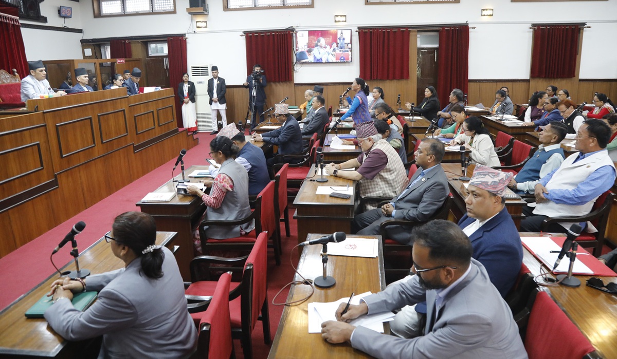 राष्ट्रिय सभामा जनसरोकारका विषयमा सरकारको ध्यानाकर्षण