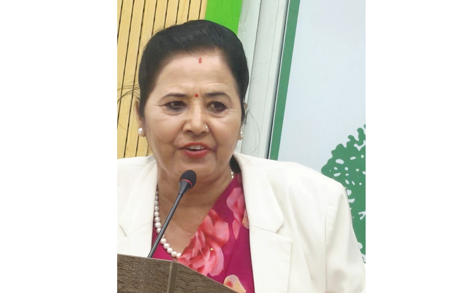 विचारमा बहस गरौं, नेतृत्वमा प्रतिस्पर्धा गरौं, पार्टी कमजोर नबनाऔं : सहमहामन्त्री संग्रौला