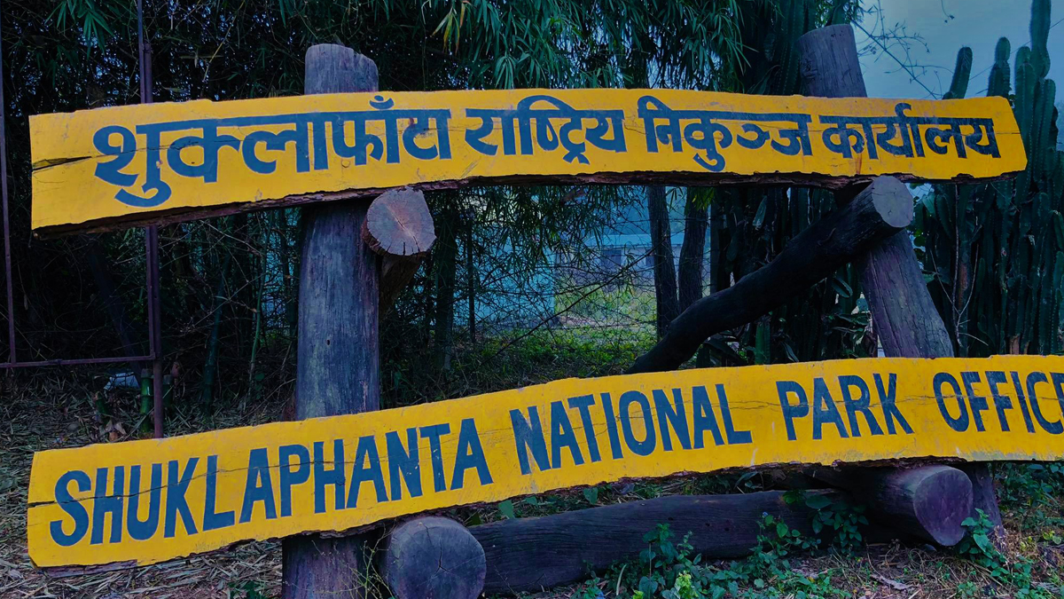 शुक्लाफाँटामा पर्यटक आवागमनमा वृद्धि, १३ दिनमा ६०० पर्यटक